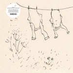 ANNIE A (Felicia Atkinson, Time Is Away, Maxine Funke, Christina Petrie) - The Wind That Had Not Touched Land LP