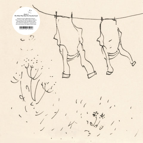 ANNIE A (Felicia Atkinson, Time Is Away, Maxine Funke, Christina Petrie) - The Wind That Had Not Touched Land LP