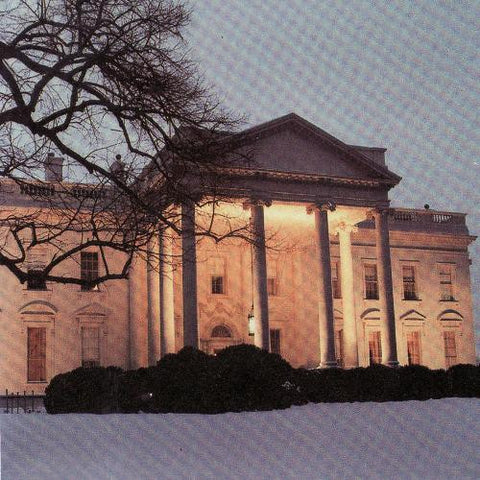 DEAD C - The White House DLP