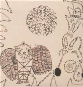 DEVENDRA BANHART - Rejoicing In The Hands / Niño Rojo DLP