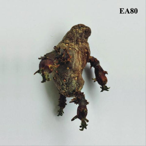 EA80 - Single LP