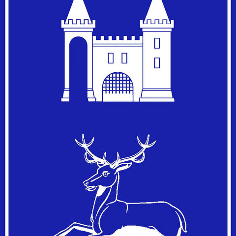 V/A - Ceremonial County Series Vol.XVII - Bristol | Hertfordshire TAPE