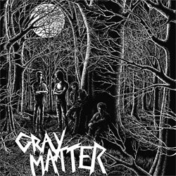 GRAY MATTER - food for thought LP