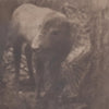 GUSTAV KEMPS - Lonesome For A Storm TAPE