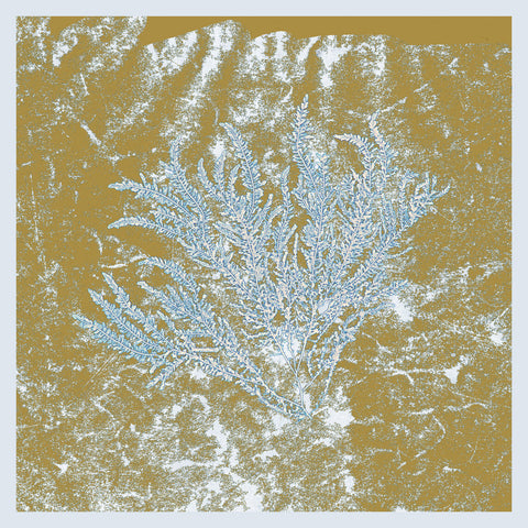 HUERCO S. - For Those Of You Who Have Never (And Also Those Who Have) DLP