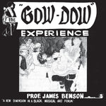 PROF. JAMES BENSON - The Gow-Dow Experience LP