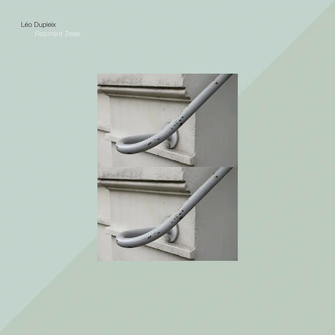 LÉO DUPLEIX - Resonant Tree LP