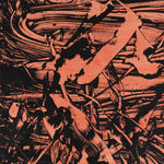 OREN AMBARCHI & MARTIN NG - The Vanishing DLP