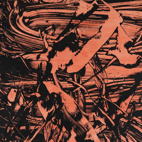 OREN AMBARCHI & MARTIN NG - The Vanishing DLP