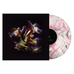 RAEIN - Forme Sommerse LP PRE ORDER