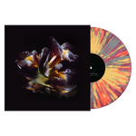 RAEIN - Forme Sommerse LP PRE ORDER