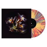 RAEIN - Forme Sommerse LP PRE ORDER