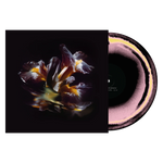 RAEIN - Forme Sommerse LP PRE ORDER
