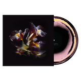 RAEIN - Forme Sommerse LP PRE ORDER