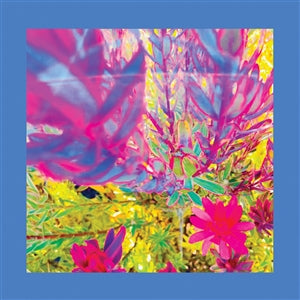 THE REDS, PINKS AND PURPLES - The Past Is A Garden LP
