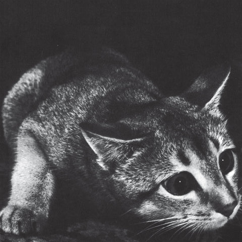 CINDY - s/t LP