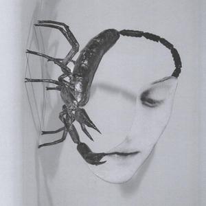TORTOISE - Touch LP