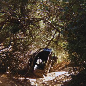 TY SEGALL - Possession TAPE