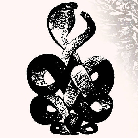 BARDO POND - Volume 4 & 5 DLP
