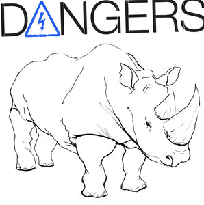 DANGERS - anger LP