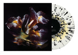 RAEIN - Forme Sommerse LP