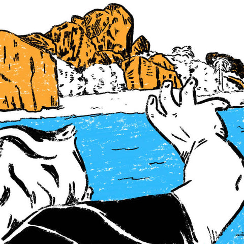 COMA REGALIA - Il Evectes LP