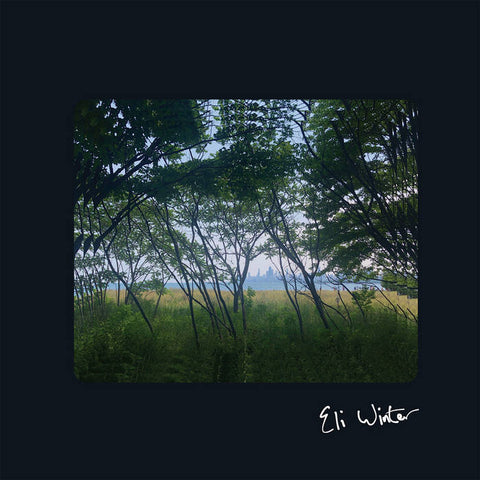 ELI WINTER - s/t LP