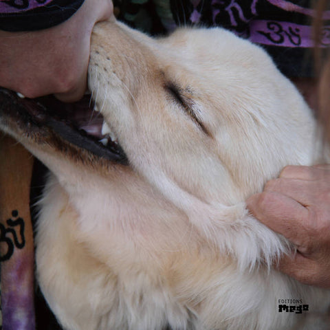 CHRISTIAN FENNESZ & JIM O'ROURKE - It’s Hard For Me To Say I’m Sorry LP
