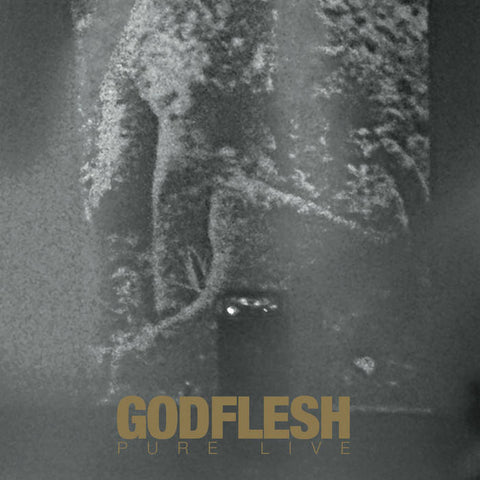 GODFLESH - Pure: Live DLP