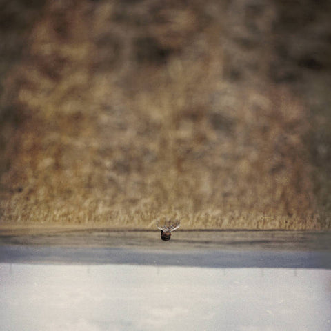 JIM O'ROURKE - Hands That Bind OST LP