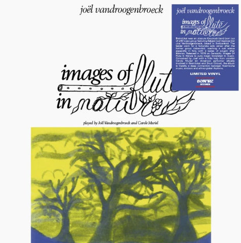 JOËL VANDROOGENBROECK - Images of Flute In Nature LP