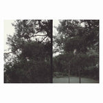 OKKYUNG LEE - Just Like Any Other Day (어느날): Background Music For Your Mundane Activities LP