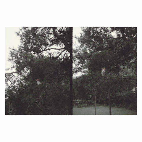 OKKYUNG LEE - Just Like Any Other Day (어느날): Background Music For Your Mundane Activities LP