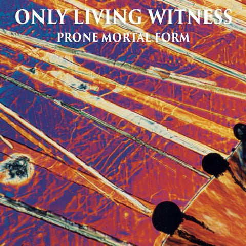 ONLY LIVING WITNESS - Prone Mortal Form DLP