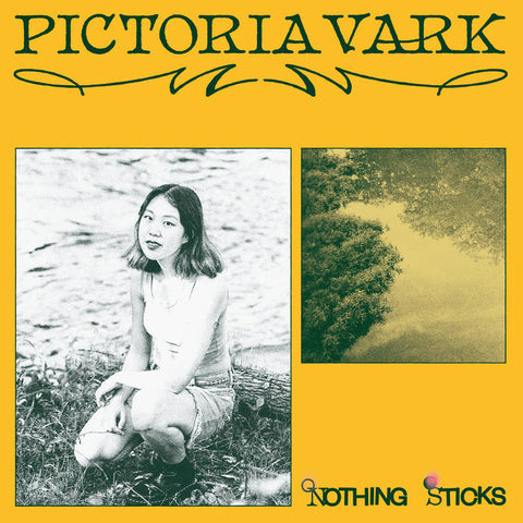 PICTORIA VARK - Nothing Sticks LP