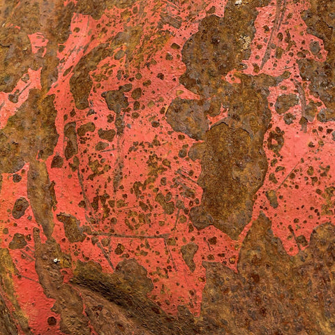 PURPLE TRAP - The Stone LP