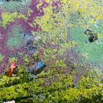 ROB MAZUREK - Nestor's Nest LP
