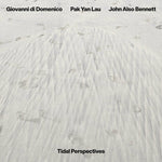 GIOVANNI DI DOMENICO / PAK YAN LAU / JOHN ALSO BENNETT - Tidal Perspectives LP