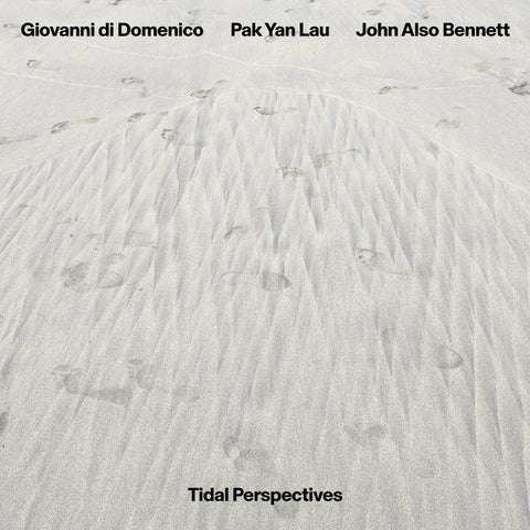 GIOVANNI DI DOMENICO / PAK YAN LAU / JOHN ALSO BENNETT - Tidal Perspectives LP