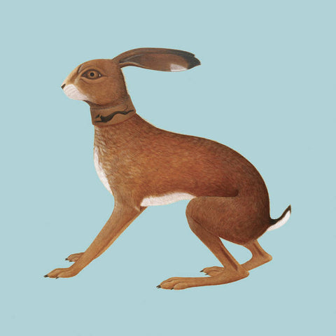 VASHTI BUNYAN -  Lookaftering – Expanded Edition DLP