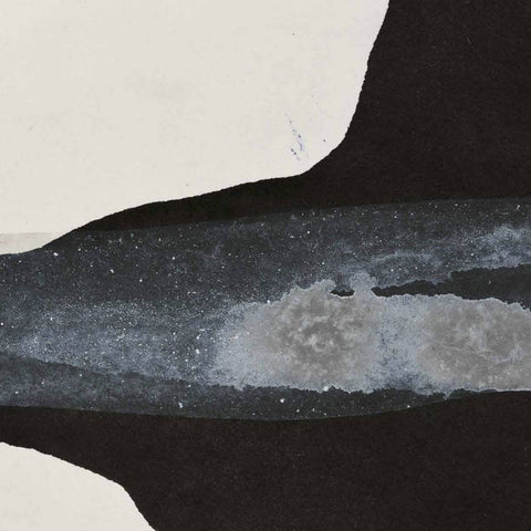 VEDER - Evergreen LP