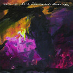THE VERLAINES - Some Disenchanted Evening LP