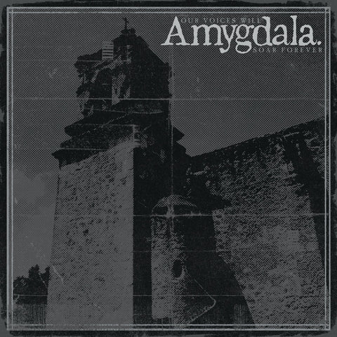 AMYGDALA - Our Voices Will Soar Forever LP (violet vinyl)