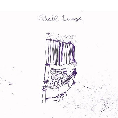 QUAIL LUNGS - dum dadadum 7"