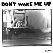 THE MICROPHONES - Don't Wake Me Up (Reissue) LP