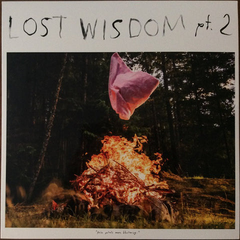 MOUNT EERIE & JULIE DOIRON - Lost Wisdom Pt. 2 LP