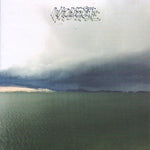 MODEST MOUSE - the fruit that ate itself LP