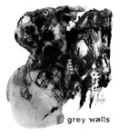 GREY WALLS - Asche LP