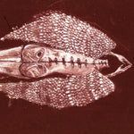 CERBERUS SHOAL - Homb DLP