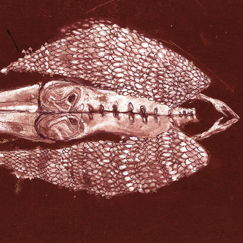CERBERUS SHOAL - Homb DLP